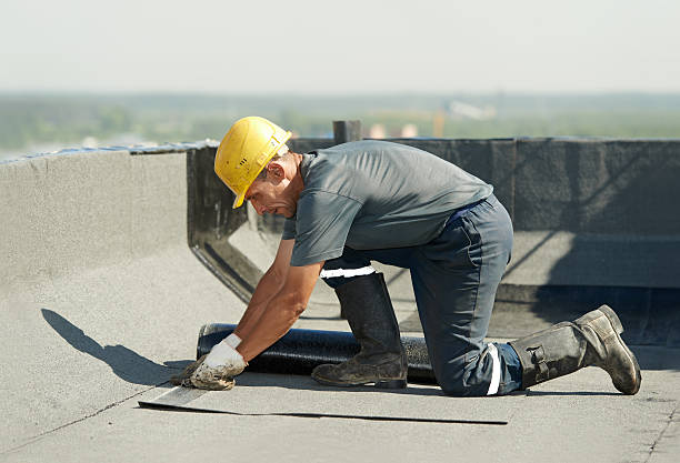 Best Insulation Maintenance and Repair in Cloquet, MN